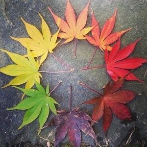 Meet your Posher, Augusto